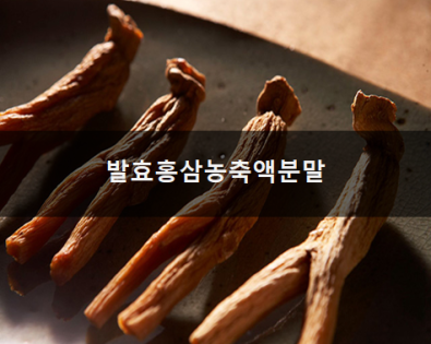 발효홍삼농축액분말